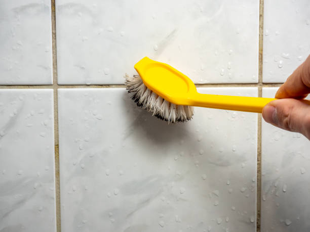 Best Local Mold Removal Service  in Butler, AL