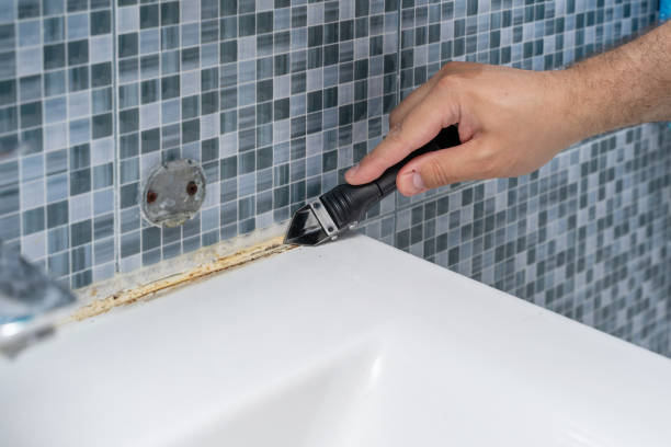 Best Mold Cleaning Services  in Butler, AL