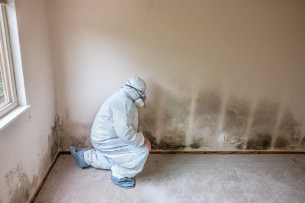 Best Residential Mold Removal  in Butler, AL
