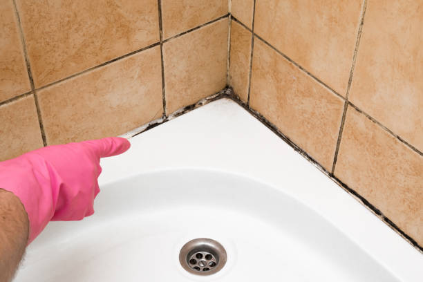Best Residential Mold Removal  in Butler, AL